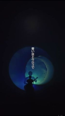 #シーラカンスと僕 #サカナクション #sakanaction