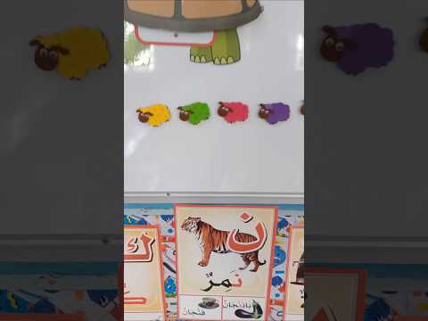 خروفي الأول قسم التحضيري  