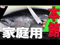 【生まぐろ解体】家庭用の小さい包丁で本鮪を捌くコツ教えます！