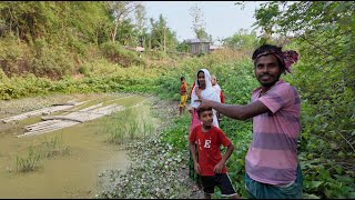 জঙ্গলে ডাহুক পাখির বাচ্চা খুজে পেলাম | Doyel Agro