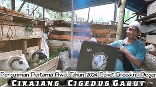 PENGIRIMAN PAKET BREEDING AWAL TAHUN KE CIKAJANG GARUT