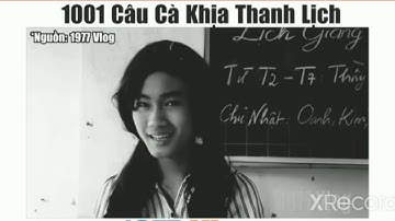 1000 câu nói cà khịa lịch sự(1977 vlog)