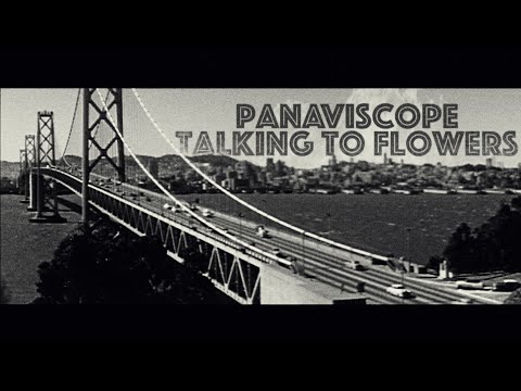Panaviscope – Talking To Flowers