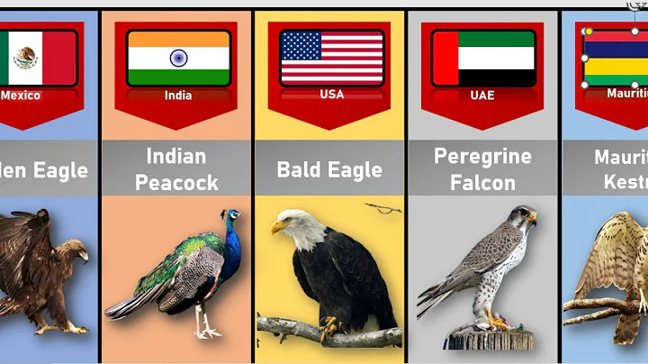 National Birds From Different Countries - DayDayNews