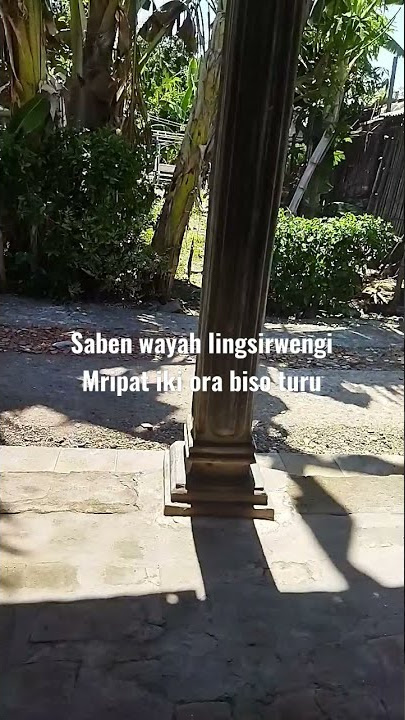 yenni ora biso turu