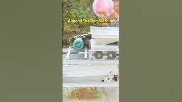 Almond Shelling Machine丨Production capacity of 400-600 kg per hour #almond #almondshellingmachine