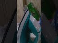 Tips On Content Iron Your Greenscreen