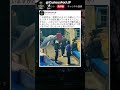 本当に理解していたのだろうか 🐋