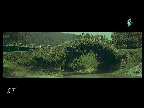 ეს გულუხვი ბიჭიც შენი იყოს.(საჩუქარზე უარის თქმა როგორ შეიძლება). :)))