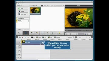Easy To Use Video Editor Editing Program Software  - How to Fade In and Out - THEONLINEVIDEOMARKET