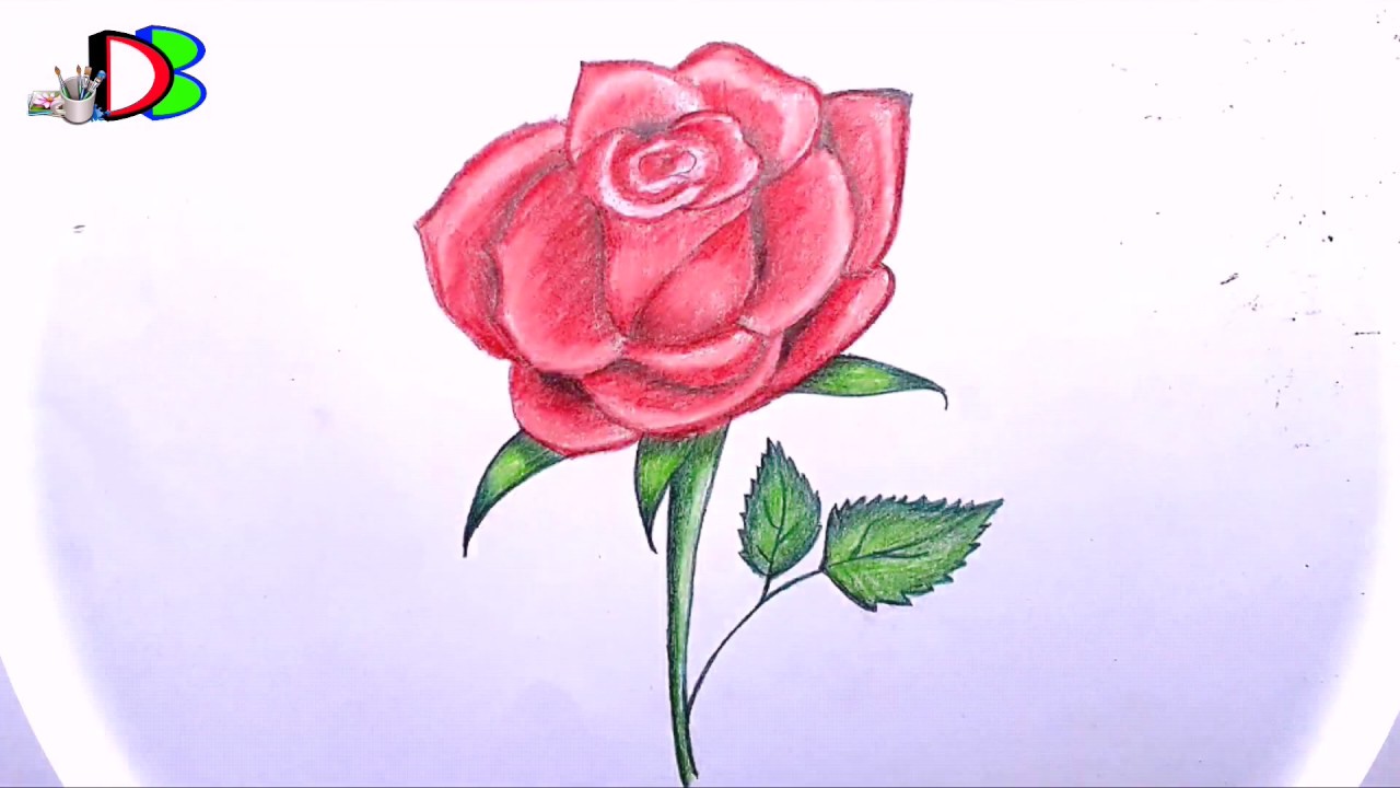 How To Draw Rose By Simple Steps | Flower Drawing For Beginners |Rose  Drawing Easy - Youtube