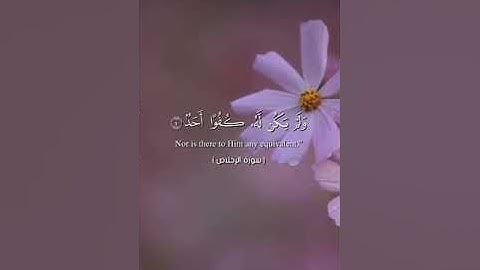 سورة الإخلاص مكررة بصوت مريح _ ناصر القطامي