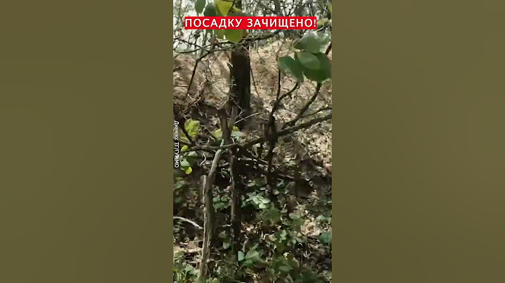 🔥ОЦЕ БІЙ! Штурм позицій окупантів спецпризначенцями ГУР #shorts