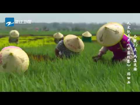 【纪录片】《中国村落》预告：如何把水稻种出“花” THE VILLAGES IN CHINA EP1 20190422 [浙江卫视官方HD]