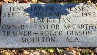 Coon Dog Cemetery 2088