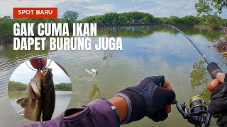 Edan‼️ Gak Cuma Ikan Target, Binatang Lain Juga Mau Nyambar Umpan