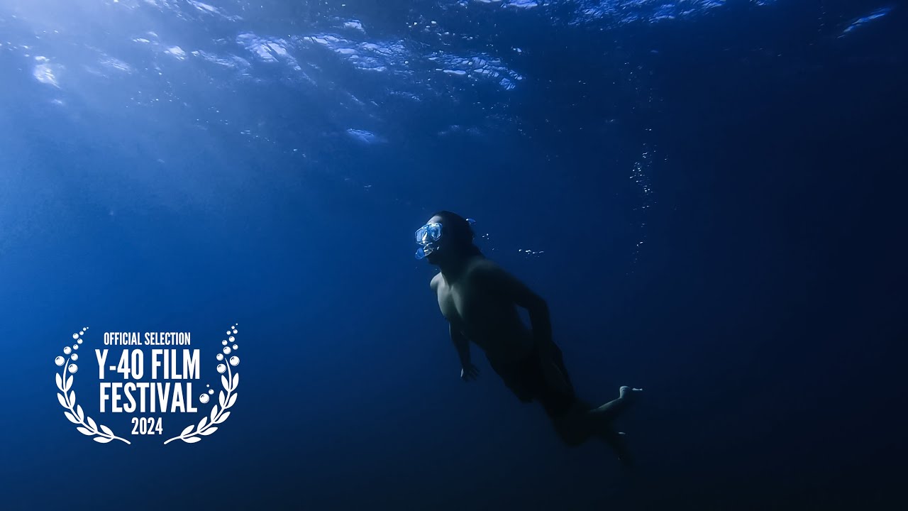 DIVE | New Zealand Underwater Short Film | GoPro Hero 9 Black - YouTube