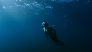 DIVE | New Zealand Underwater Short Film | GoPro Hero 9 Black