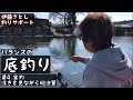 釣りサポート伊藤さとし名人バランスの底釣り　＃4  　実釣　浮きを見ながら総決算