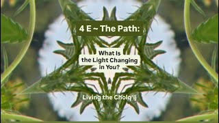 What Is the Light Changing in You 4 E ~ The Path