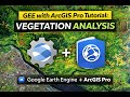 GEE with ArcGIS Pro Tutorial: Vegetation analysis using Google Earth Engine with ArcGIS Pro