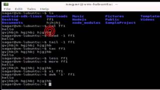 How to view contents of text file in Linux Mint