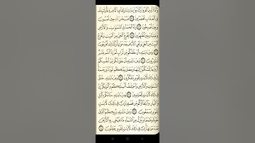 @آيات مباركة من سورة ( الروم)اخي الفاضل تفكر بها من الآية الكريمة (١٥-٢٤)
