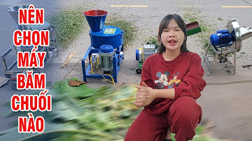 Nên Chọn Mua Máy Băm Chuối Nào Để Phù Hợp Nhất : 2 Dao Hay 15 Dao?