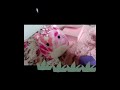 челлендж 2часть