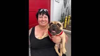 289 Adoptions in 2025 One Incredible Year