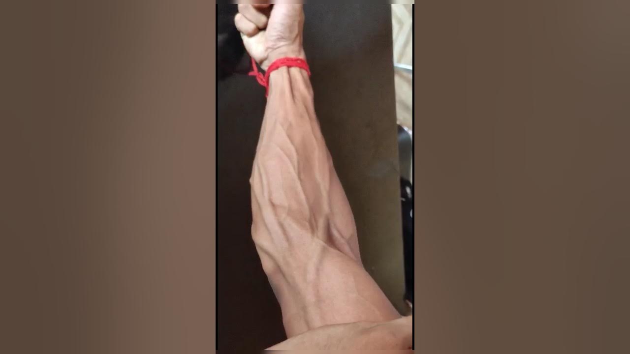 hand gripper body transformation hand gripper before and after hand gripper YouTube