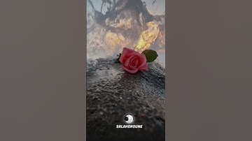 راحة نفسية ❤️للقارئ salah gnoun