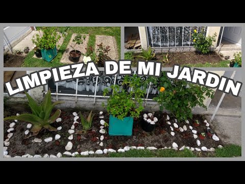 #limpiezaextrema #motivate 💪💯 limpieza extrema de mi pequeño jardín 🌺