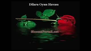 DİLARA OYUN HAVASI
