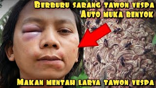 SURVIVAL BERBURU DAN MEMAKAN TAWON MENTAH AUTO MUKA BONYOX