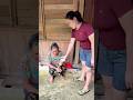 [ tập cuối ]  Bà cụ không có nhà.| bà vợ bị đuổi ra khỏi nhà..😬 #shorts