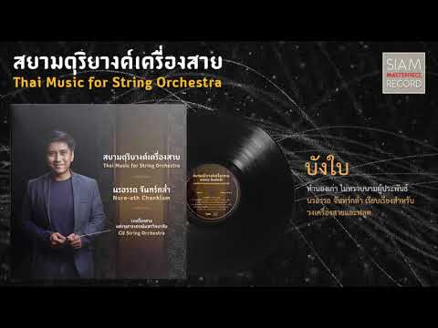 บังใบ Bang Bai