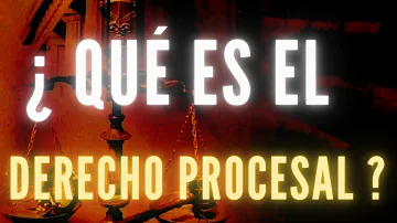 ¿Qué derecho procesal es el más importante?