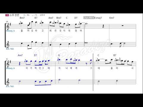 [반주기악보MR] 소주 한잔 - 임창정 / 알토색소폰 MR (AltoSax Backing Track)