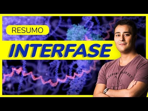 Vídeo: O que acontece durante a interfase na meiose?