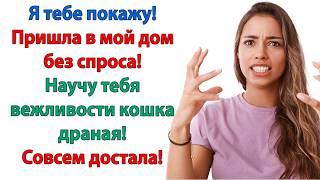 видео: Дорогой, свекровь видимо с ума сошла! Вот ей и начала мерещиться всякая ерунда! картинка: Дорогой, свекровь видимо с ума сошла! Вот ей и начала мерещиться всякая ерунда!