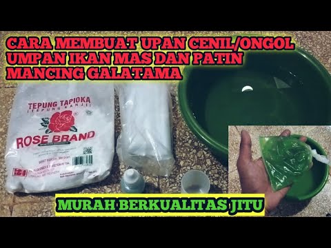 Cara Bikin Ongol Ongol Umpan Patin