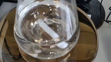 Stirrer in an erlenmeyer flask | Slow-mo