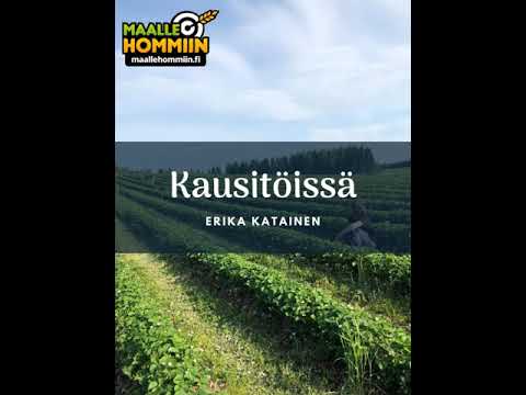 Erika Katainen kausitöissä
