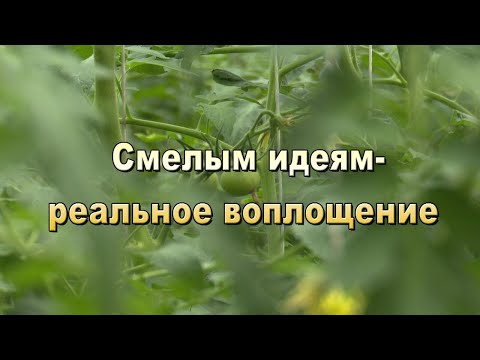 Смелым идеям есть  реальное воплощение