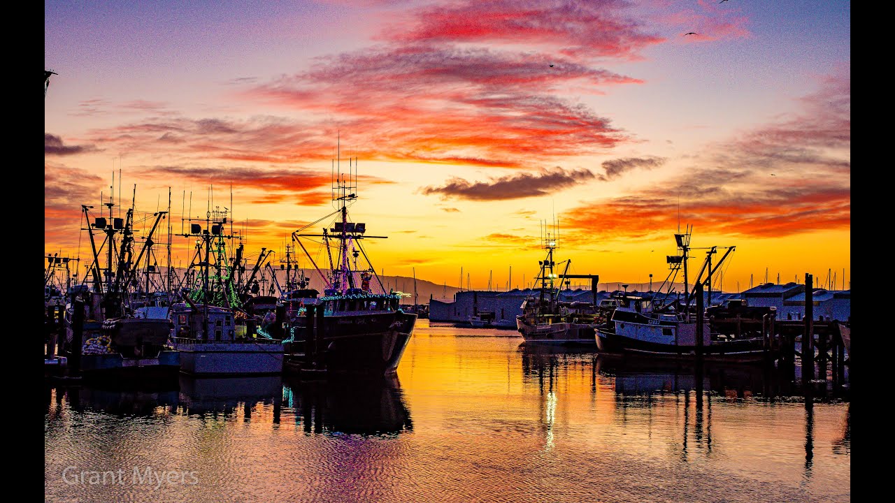 The beauty of Bellingham area Waterfront in 2024