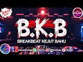 🔥 DJ Breakbeat x Indobounce TikTok Viral 🎧 Bass Gila Paling Dicari 2025!