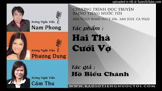 Hai Thà Cưới Vợ - Hồ Biểu Chánh Nam Phong - Phượng Dung Diễn Đọc