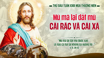 Sửa Lỗi Trong Yêu Thương | Thứ Sáu Tuần XXIII Thường Niên | Lm. Andre Nguyễn Ngọc Dũng, CSsR