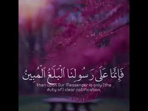 وأطيعو الله وأطيعو الرسول فإن توليتم فإنما على رسولنا البلاغ المبين